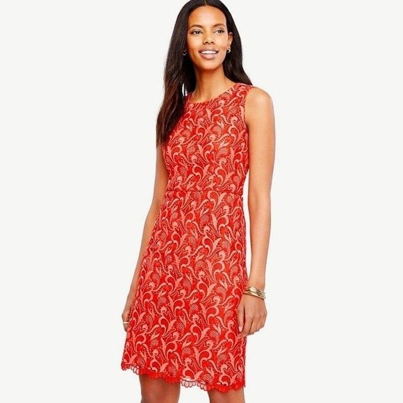 Ann Taylor Dresses & Skirts - Ann Taylor Two Tone Lace Sheath Dress Coral